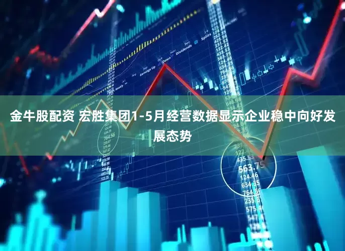 金牛股配资 宏胜集团1-5月经营数据显示企业稳中向好发展态势