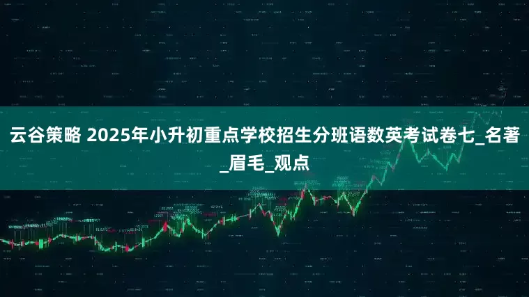 云谷策略 2025年小升初重点学校招生分班语数英考试卷七_名著_眉毛_观点